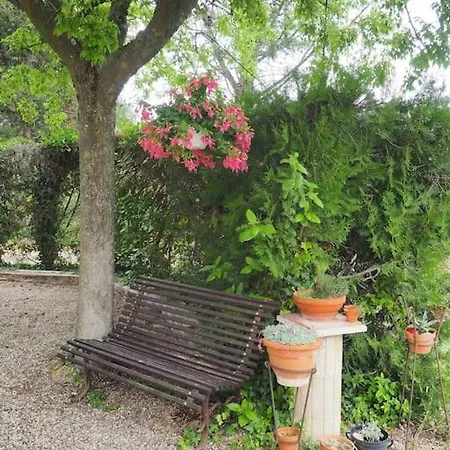 Ferienwohnung L'Armas Sorgues Exterior foto